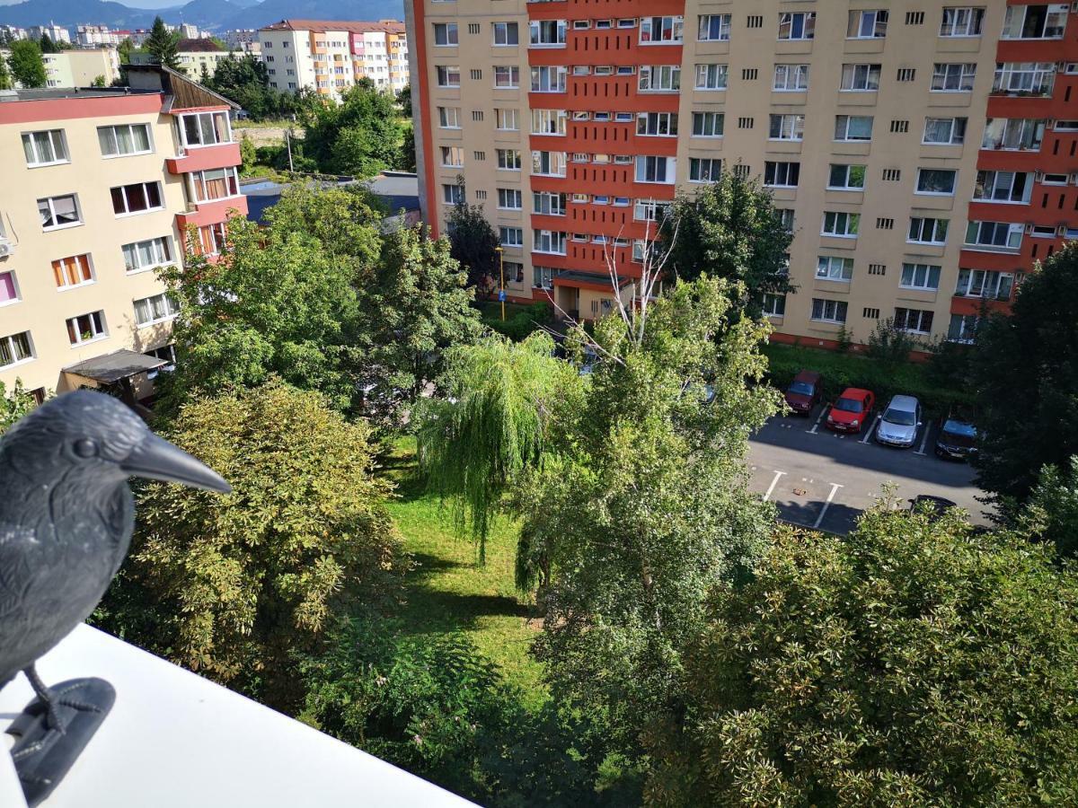 Certo Apartment Брашов Экстерьер фото